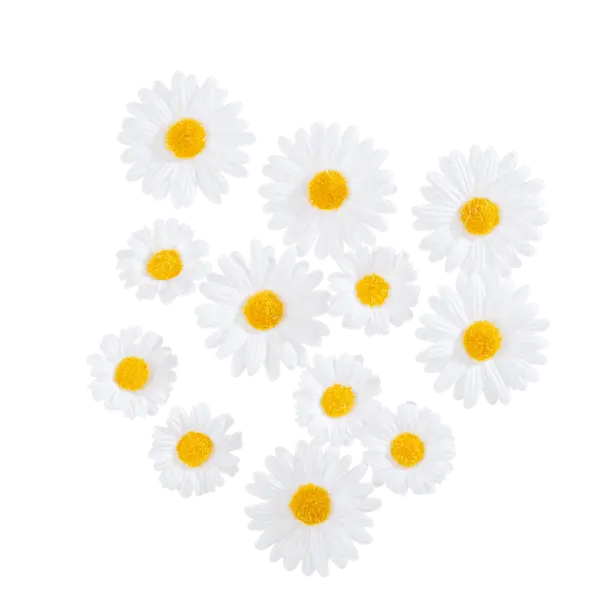12 marguerites artificielles - 3 à 4,5cm