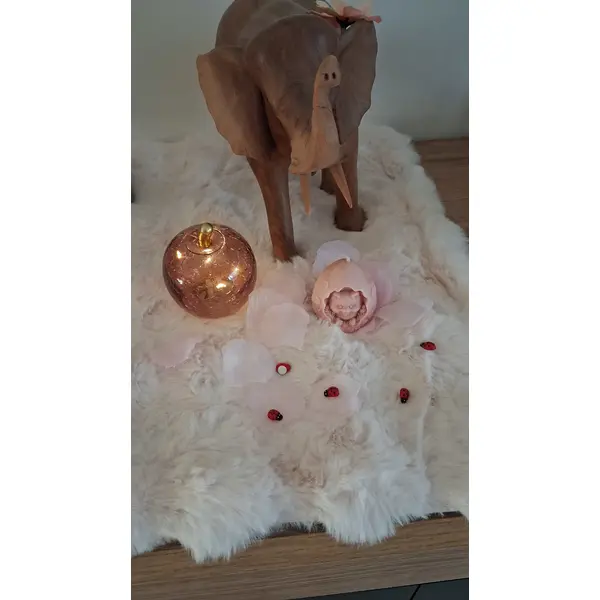 Bougie /fondant chat dans sa coquille pêche -51 g