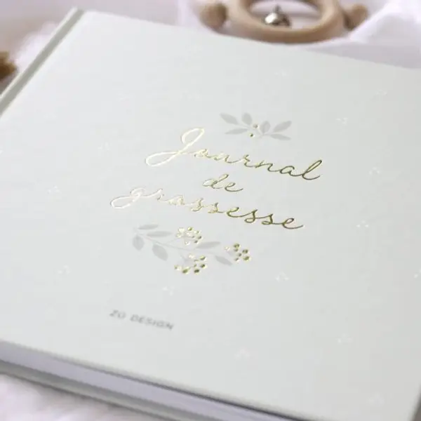 Journal de grossesse Zü