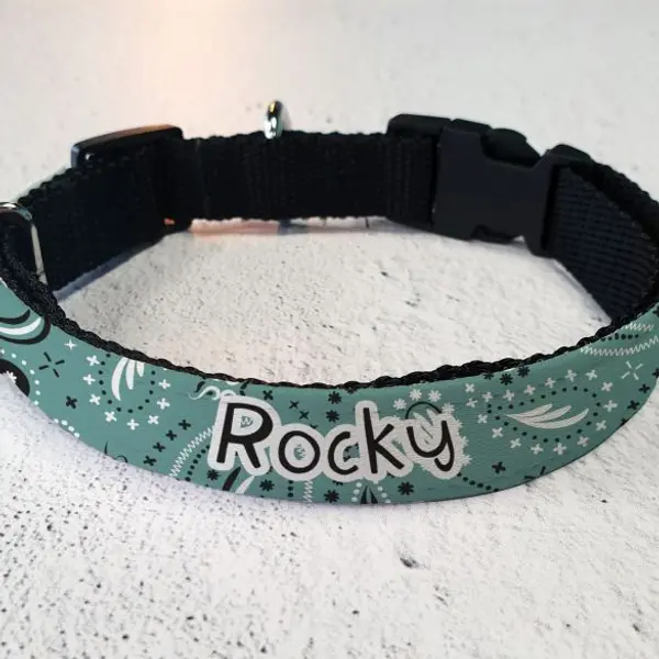 Collier pour chien personnalisé - Bandana bleu