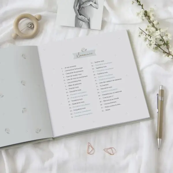 Journal de grossesse Zü
