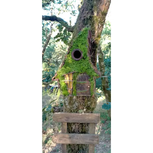 Nichoir maison de lutin – façade mousse, porte & fenêtre fait-main, bois non traité, trou 32mm – fait-main bretagne, pièce unique
