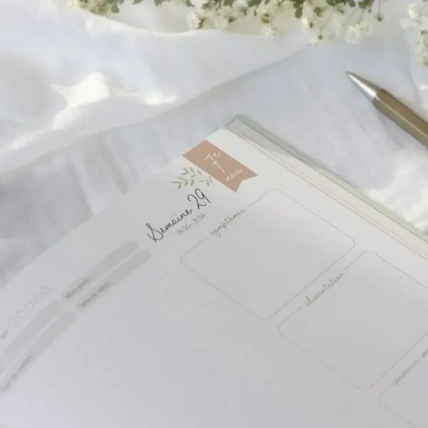 Journal de grossesse Zü