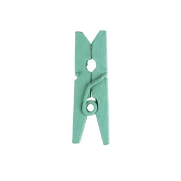 24 Mini Pinces en Bois - Vert Menthe