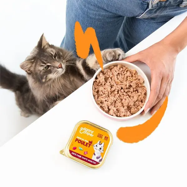 Pâté poulet pour chats adultes 85g