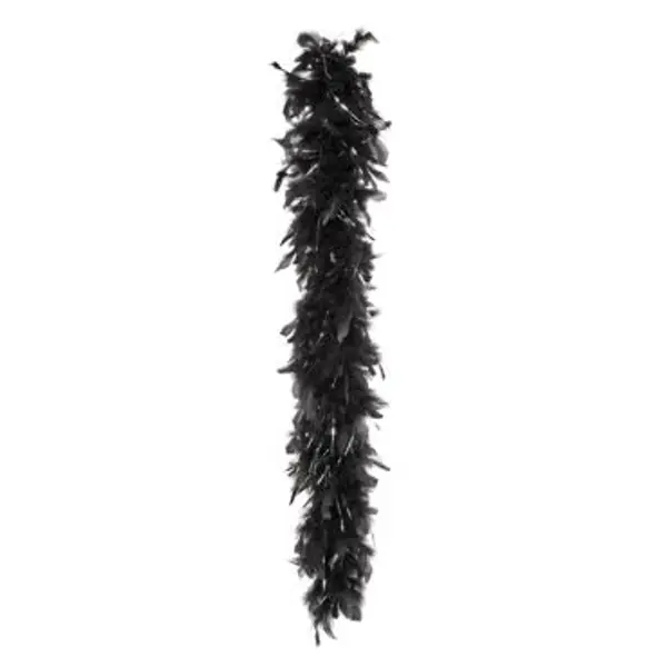 Boa Plumes Noir et Argent
