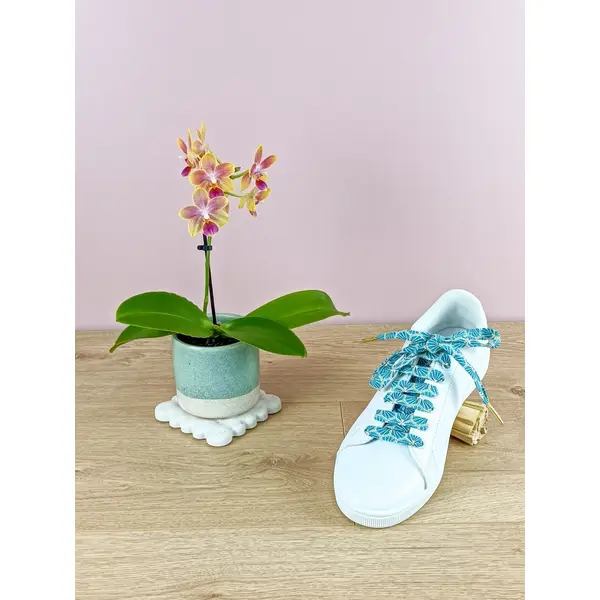 Lacets de chaussures verts