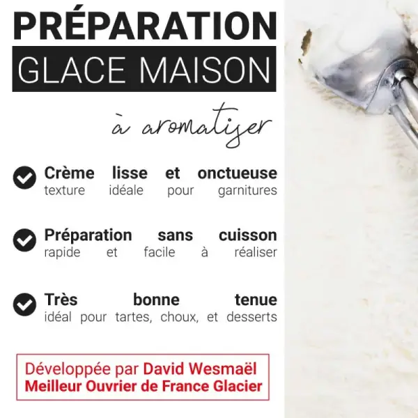Préparation pour glace maison