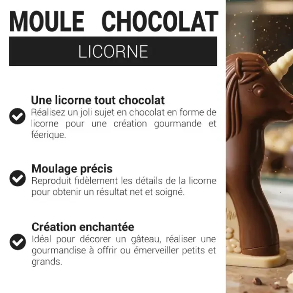 Moule chocolat licorne