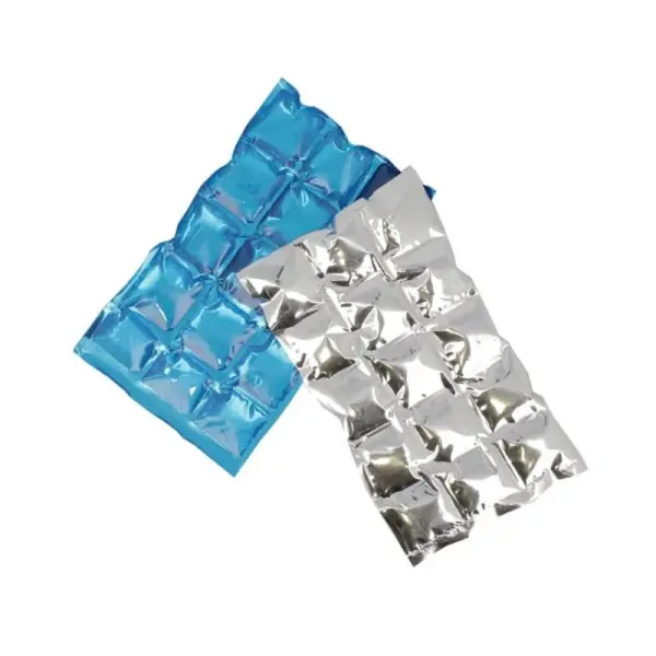 Lot de 2 accumulateurs de froid - 14,5 x 24,5 cm