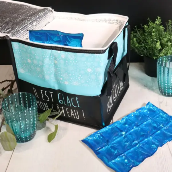 Lot de 2 accumulateurs de froid - 14,5 x 24,5 cm