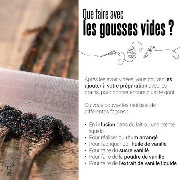 Gousse de Vanille Tanzanie (x2)
