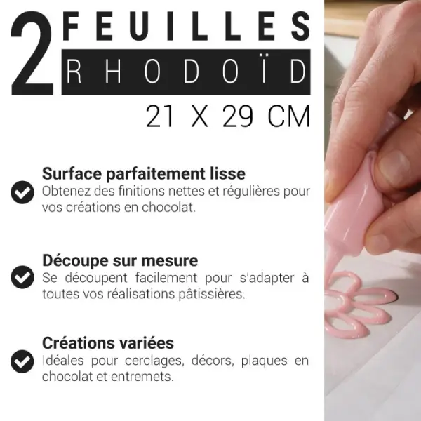 2 Feuilles rhodoïd - 21 x 29 cm
