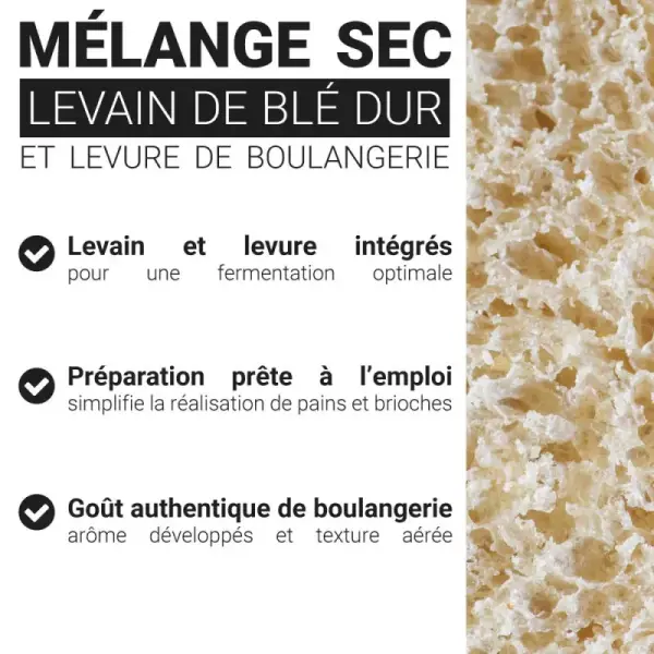 Levain de blé dur