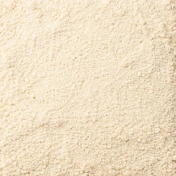 Levain de blé dur