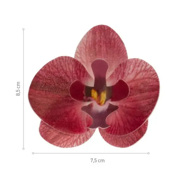 Orchidées rouges azyme (x10)