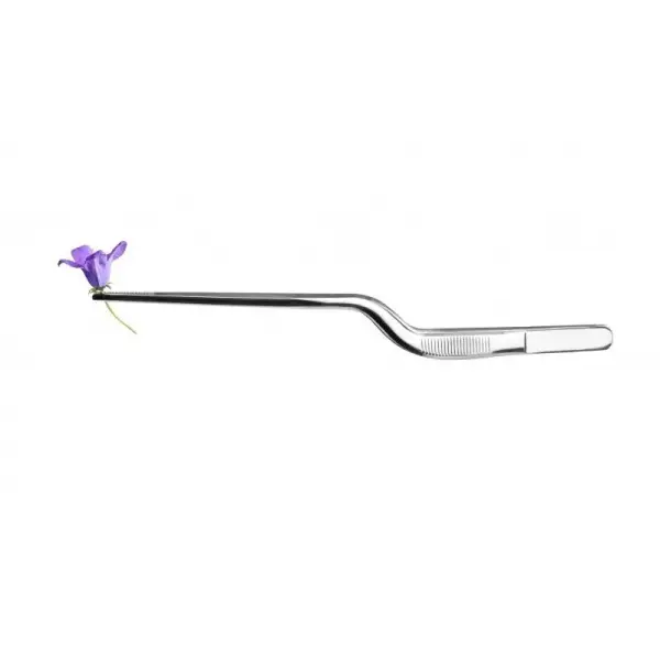 Pince à dresser courbée inox 21 cm