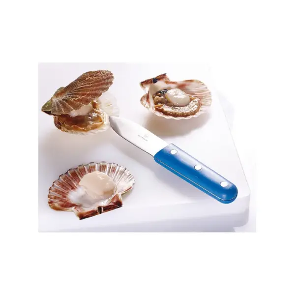 couteau à coquille Saint Jacques bleu