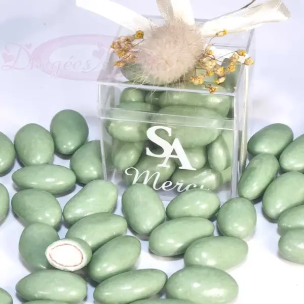 Dragées Amande Eucalyptus 43% 1Kg
