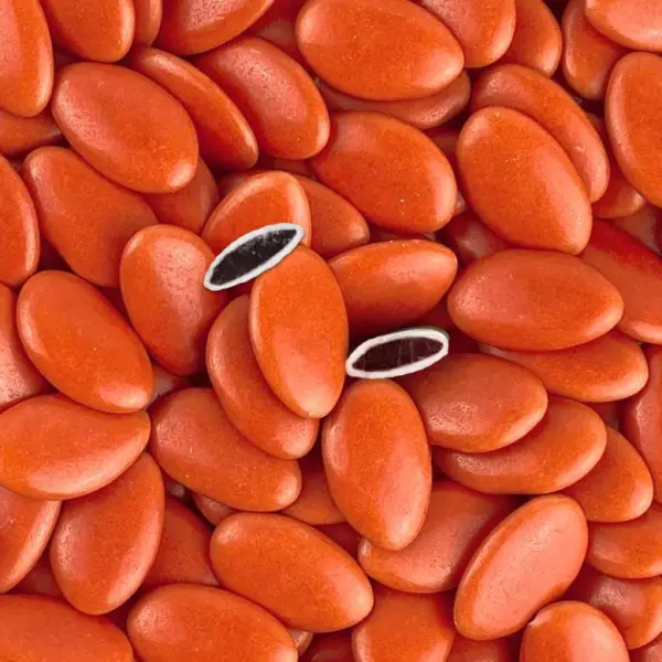 Dragées chocolat Terracotta 1 Kg Extra 71%