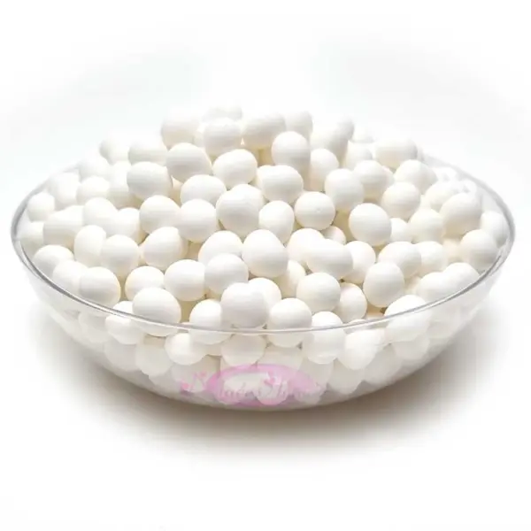 Bonbon Anis de Flavigny 1Kg