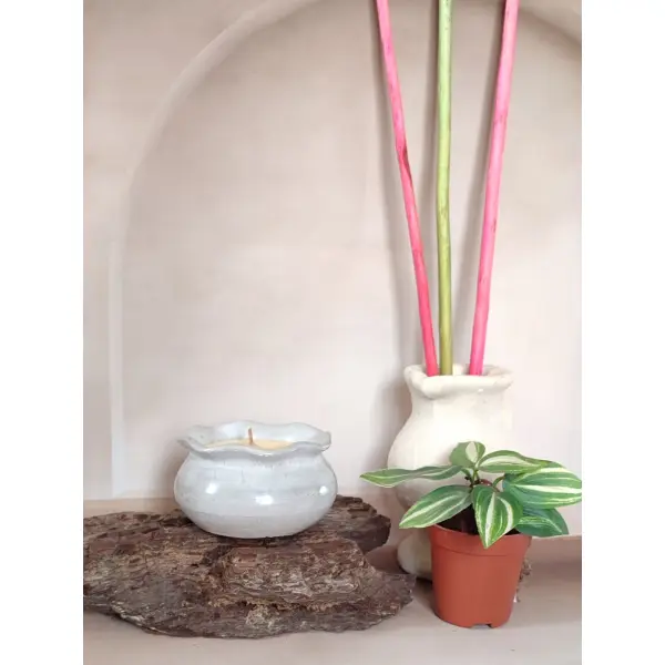 Bougie parfumée à la citronnelle.