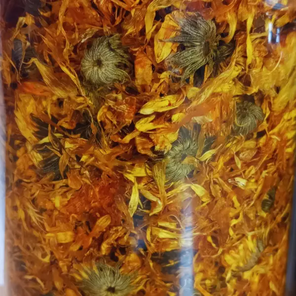 Macérât huileux de calendula
