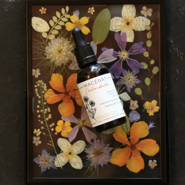 Macérât huileux de calendula