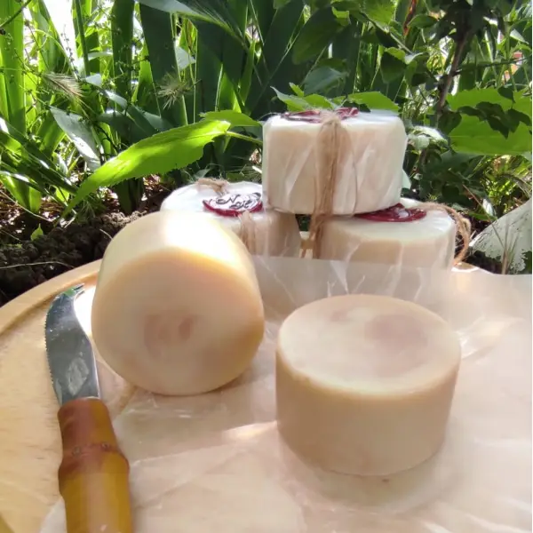 Petit crottin au lait de chèvre.