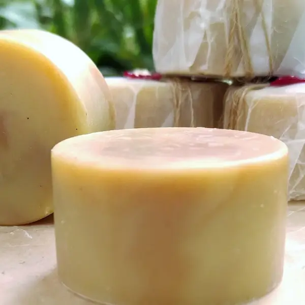 Petit crottin au lait de chèvre.