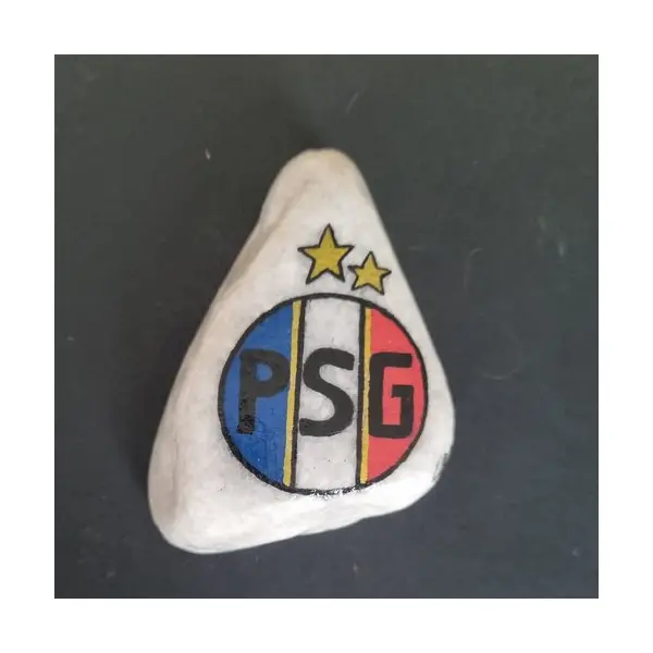 Les galets psg de wonder