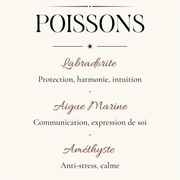 Bracelet poissons homme pierres naturelles