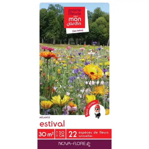 Tapis De Fleurs Estival 30M²