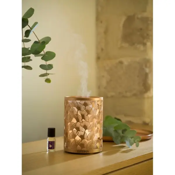 Diffuseur brume de parfum Édition Cuivre & Lumière