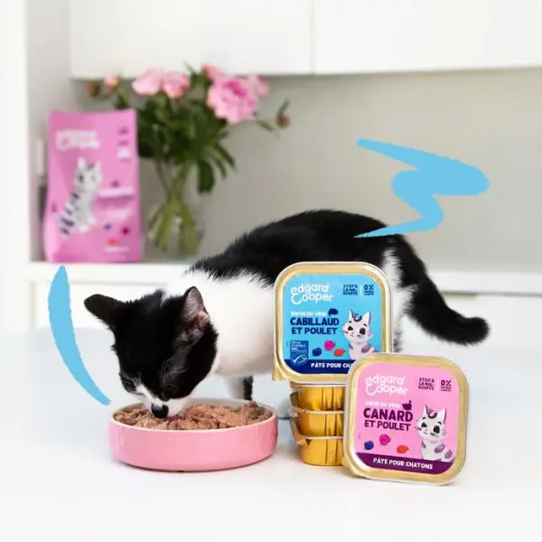 Pâté canard et poulet pour chatons 85g