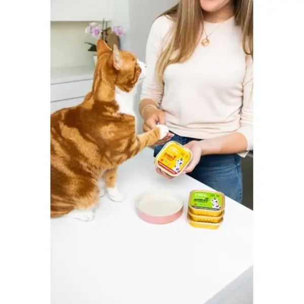 Pâté agneau et poulet pour chats adultes