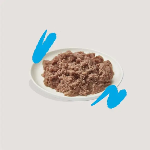 Pâté saumon et poulet pour chats adultes 85g