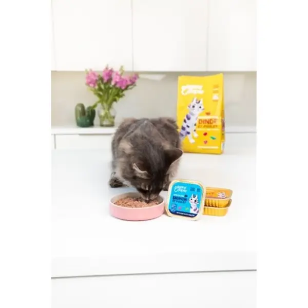 Pâté saumon et poulet pour chats adultes 85g