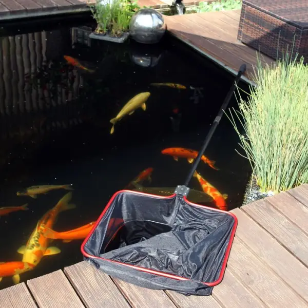 Epuisette bassin M fine