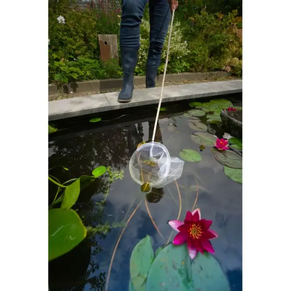 Epuisette à mailles larges Ø 3mm et manche en bambou 145cm