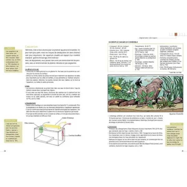 L'aquarium d'eau douce - Guide pratique du débutant