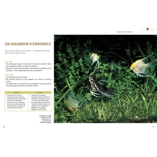 L'aquarium d'eau douce - Guide pratique du débutant