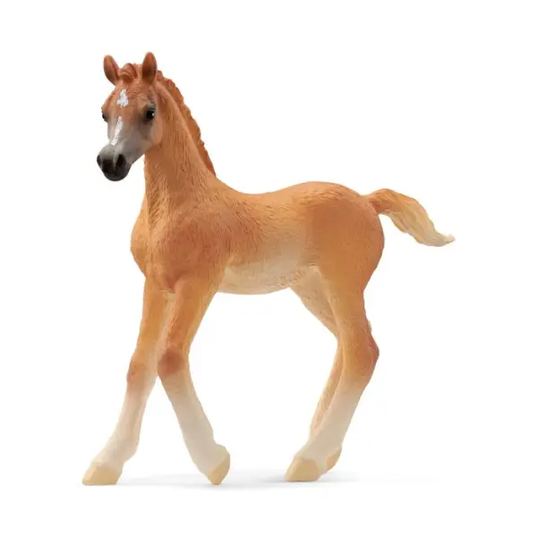 Figurine en plastique Poulain arabe L. 8.0 l. 2.0 H. 8.0cm