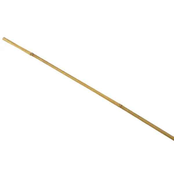 1 tuteur bambou Diam. 16/18 mm H 210 cm