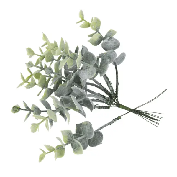 10 branches eucalyptus vert blanchi sur tige - 17cm