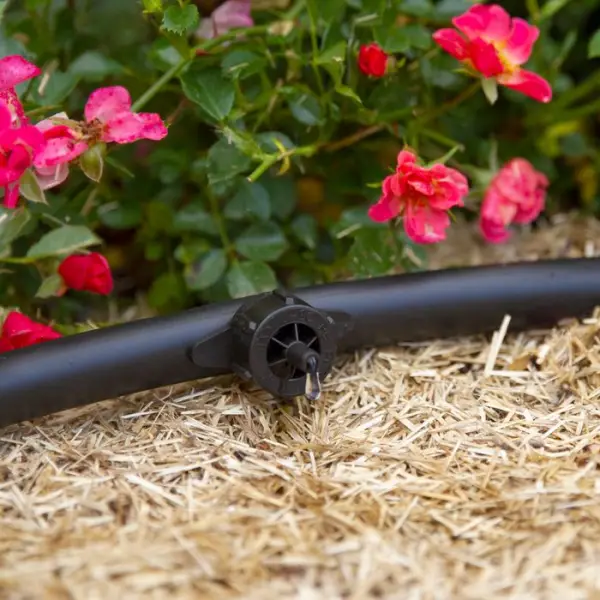 10 goutteurs à débit constant 4 l/h pour arrosage goutte à goutte