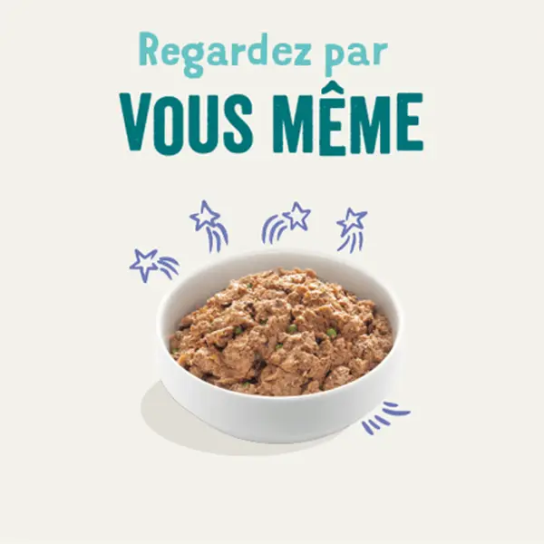 Barquette Edgard&Cooper bœuf et canard pour chien - 150 g