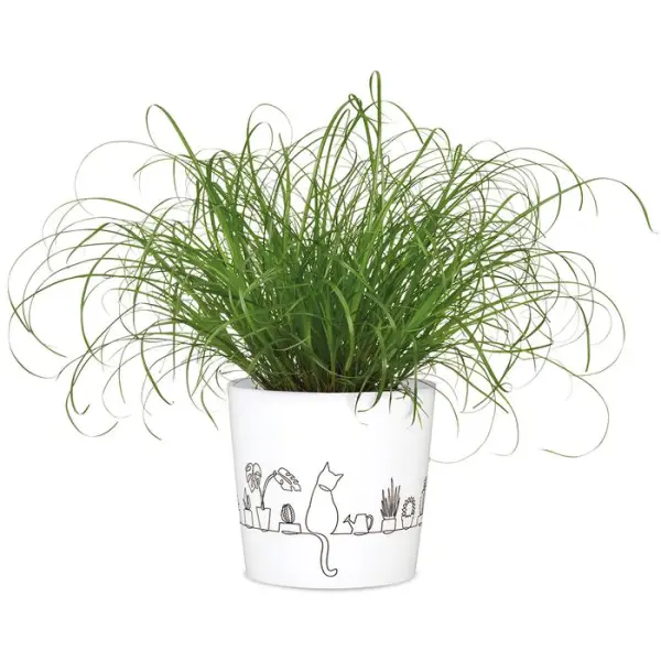 Cache-Pot 870 Catview ø13cm blanc