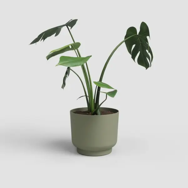 Cache-pot Miami, coloris vert cendré - D.16cm