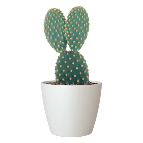 Cache-pot d'intérieur en plastique San Remo blanc Ø14cm